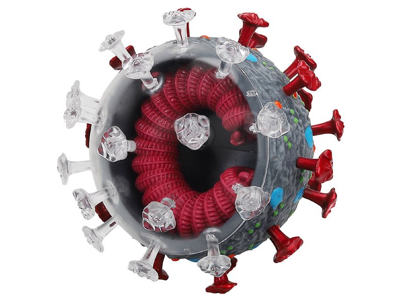 Modèle 3D du virus COVID-19