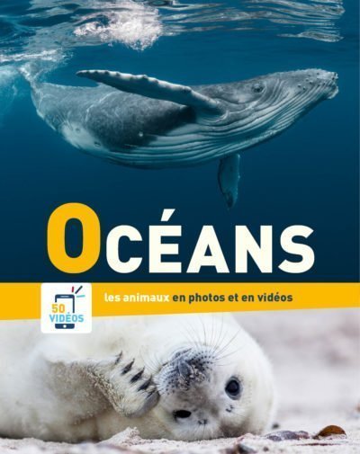 Océans - En photos et en vidéos