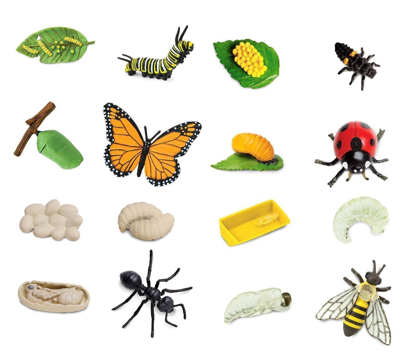 Cycles de vie insectes et araignée -abeille, papillons, fourmi, coléoptère, moustique et coccinelle