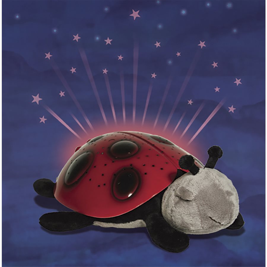 Coccinelle lumineuse