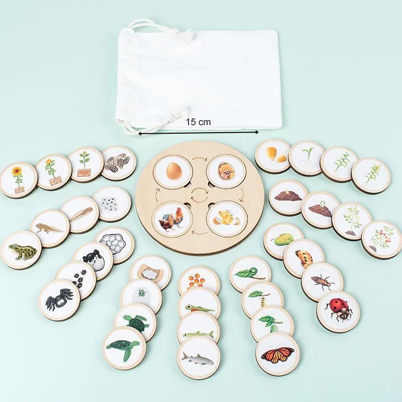 Ensemble éducatif - cycles de vie en bois Montessori