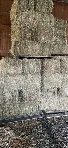 Over The Moon Farms photo 22