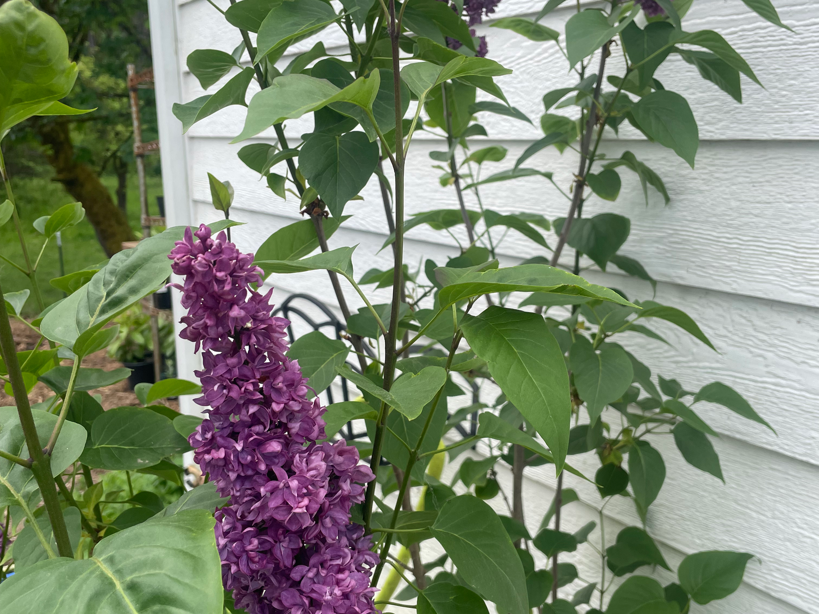 Over The Moon Farms photo 9