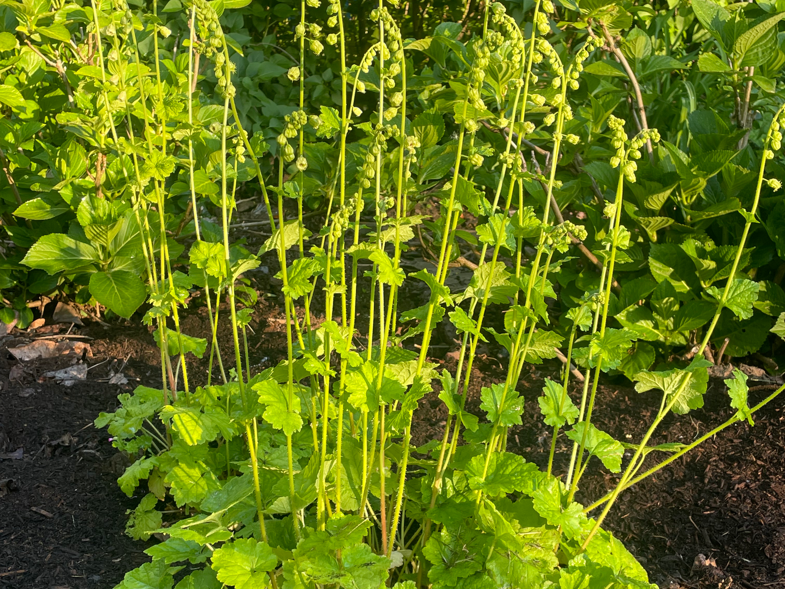 Over The Moon Farms photo 13