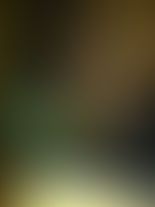 ASSOCIATION OF FLOOD VICTIMS PAY LAWYERS ALERT A COURTESY VISIT.