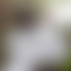 Can Buhari turn Nigeria’s oil into wealth for the people?