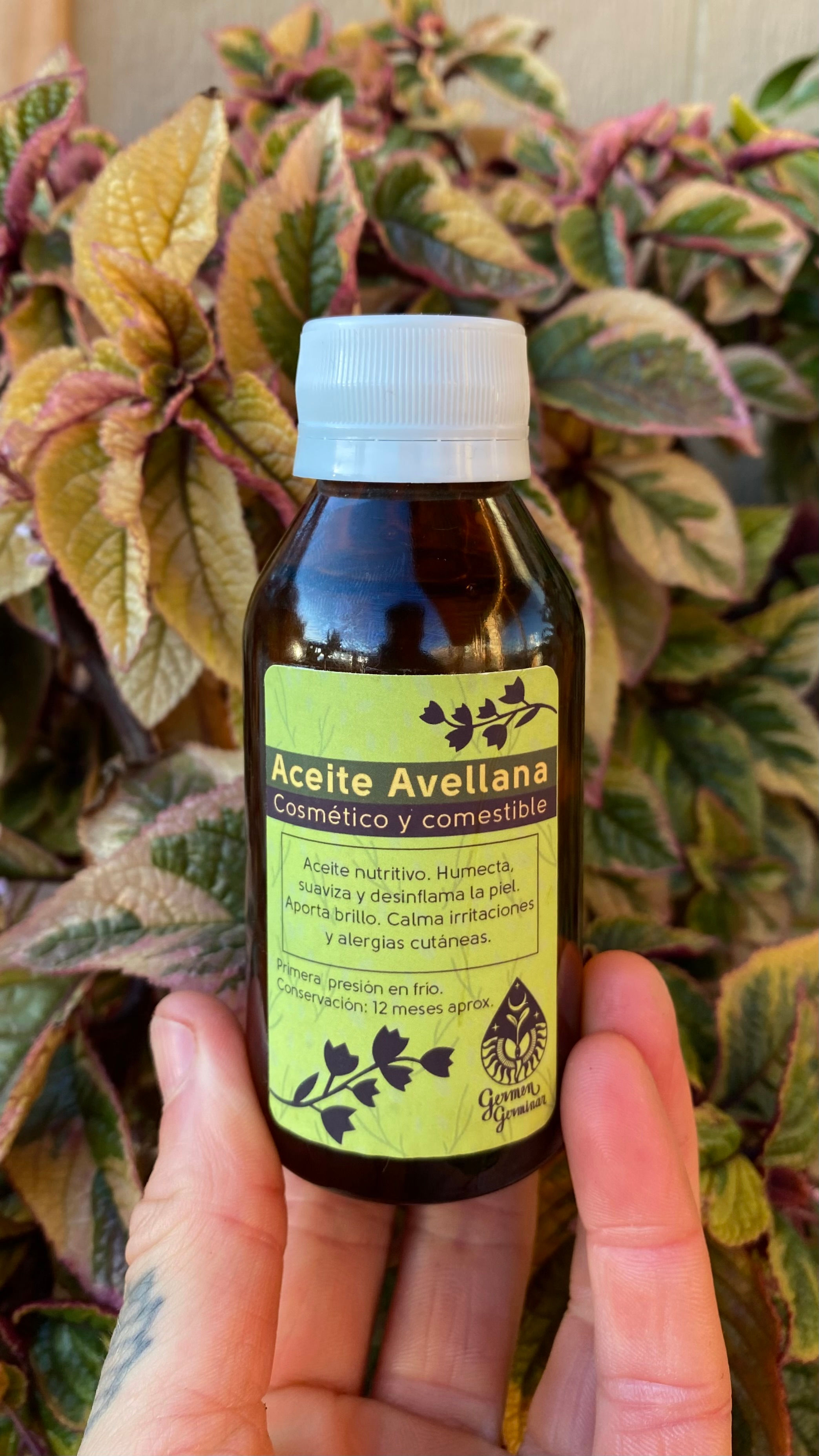 Aceite Avellana