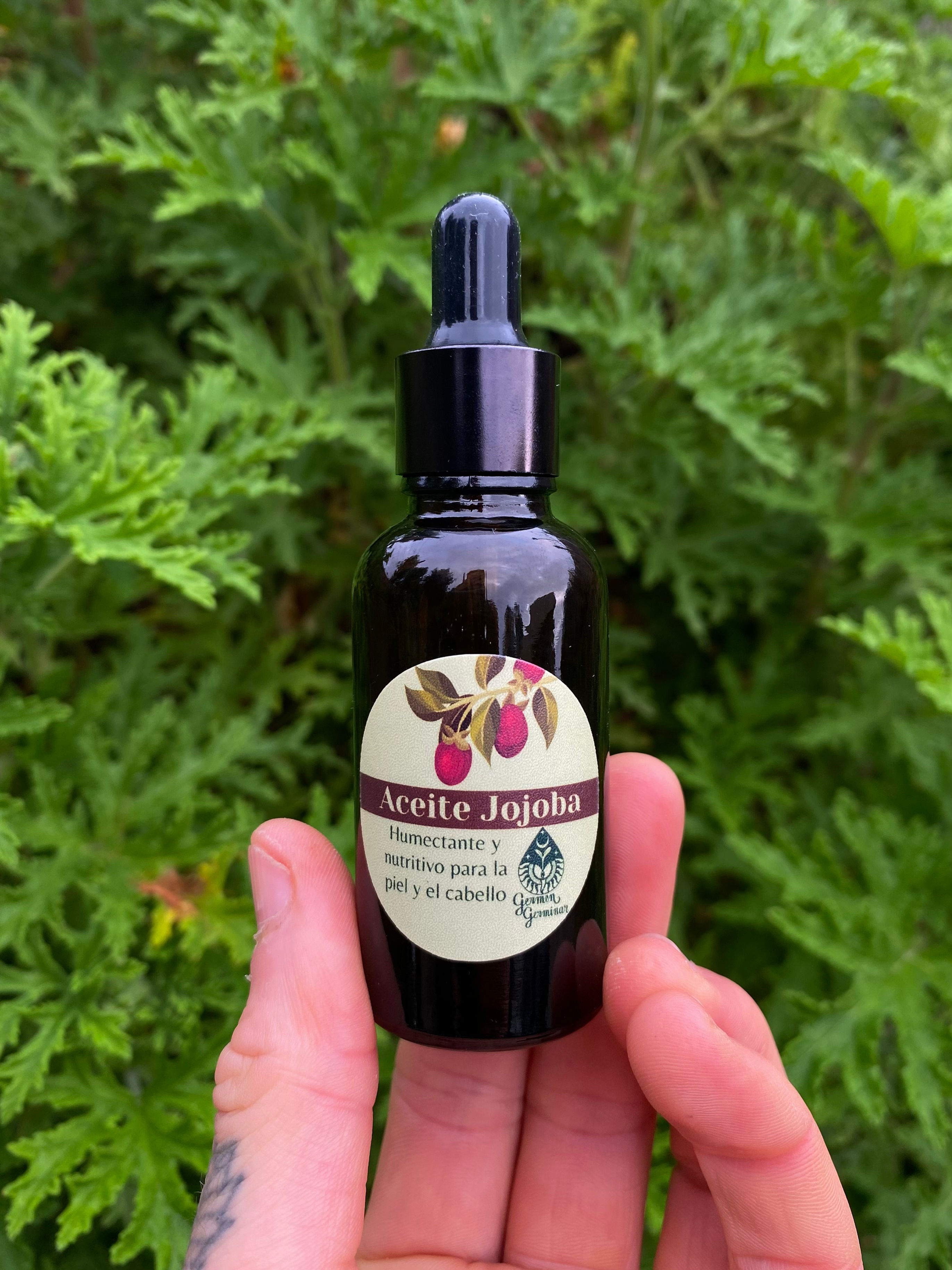 Aceite Jojoba