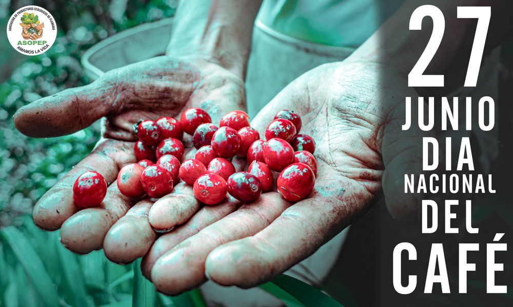 Dia Nacional del Café 2021