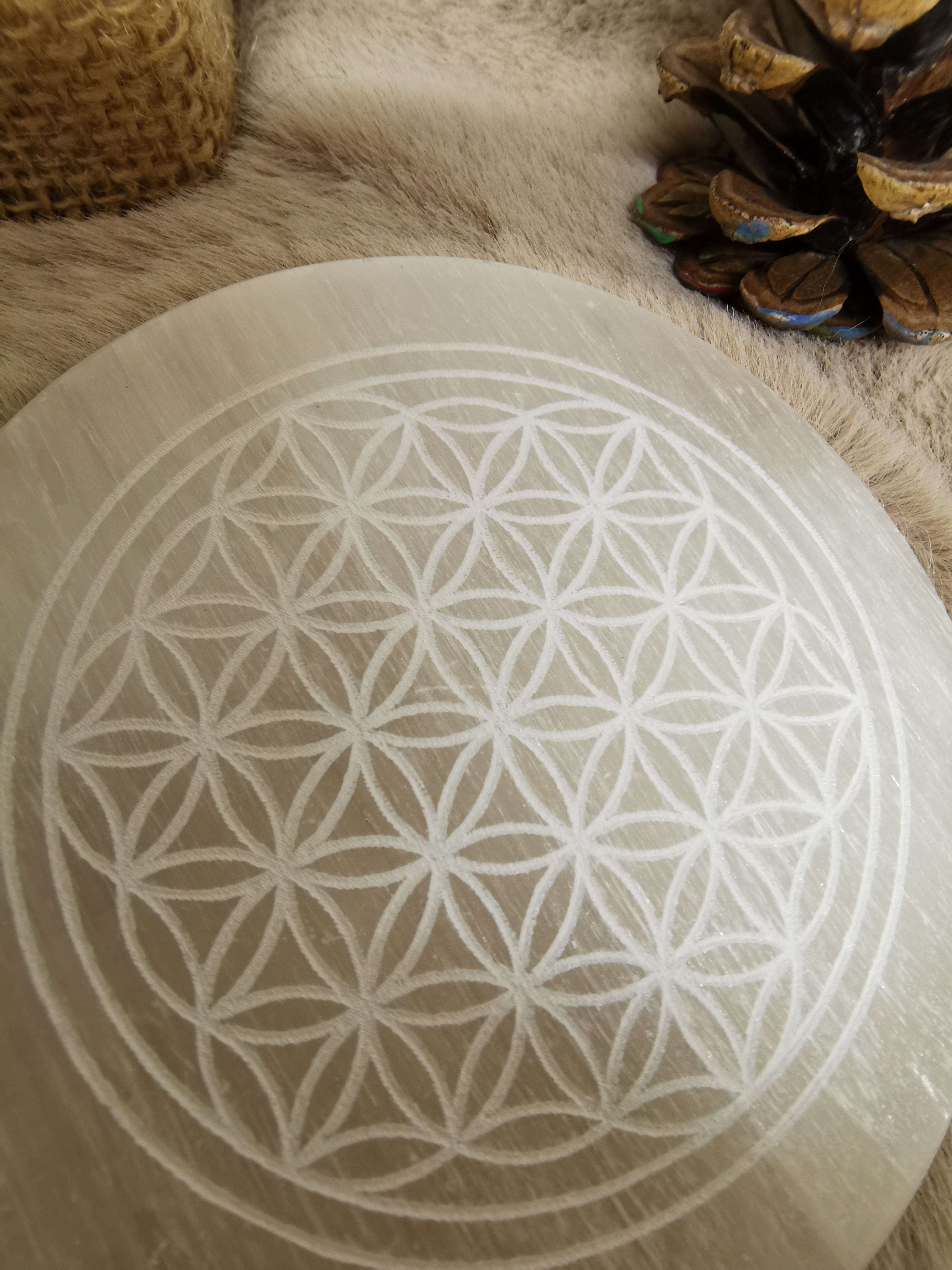 🌸 « Fleur de Vie en Sélénite » Plaque ronde 8 cm