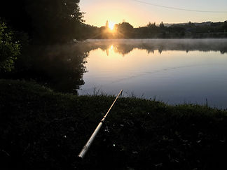 image5.jpeg