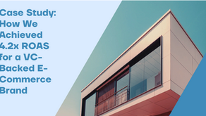 ecommerce performance marketing case study