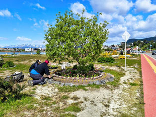 AVANZAN CON LOS TRABAJOS DE PUESTA EN VALOR EN EL PASEO DE LAS ROSAS Y OTROS SECTORES