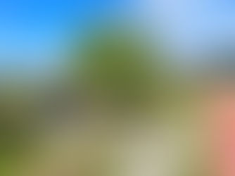 AVANZAN CON LOS TRABAJOS DE PUESTA EN VALOR EN EL PASEO DE LAS ROSAS Y OTROS SECTORES