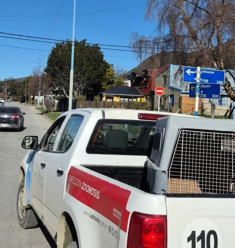 LA MUNICIPALIDAD LABRÓ 28 ACTAS POR INFRACCIONES A LA NORMATIVA SOBRE TENENCIA RESPONSABLE