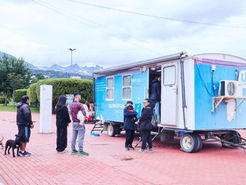 LA MUNICIPALIDAD DE USHUAIA BRINDA RECOMENDACIONES PARA PREVENIR GASTROENTERITIS EN CANINOS