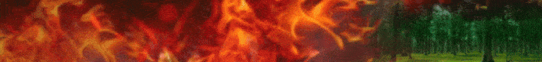 fuego_780x90.gif
