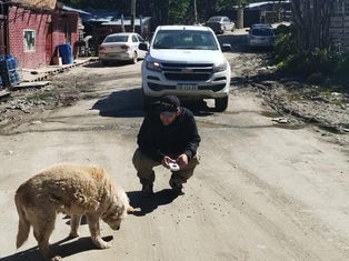 ZOONOSIS MUNICIPAL LABRÓ ACTAS DE INFRACCIÓN POR PERROS SUELTOS EN EL BARRIO 2 BANDERAS
