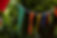 bunting2.jpg
