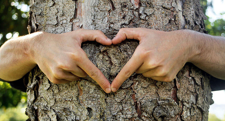 Abrazando la Naturaleza