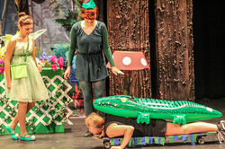 Musicals and Plays