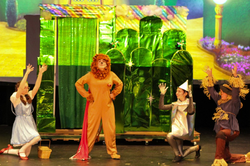 Musicals and Plays