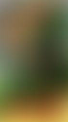 Reefer Madness Opens at the Art Centre Theatre! 4/26 - 5/11!