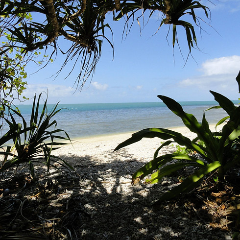 Beach1.jpg