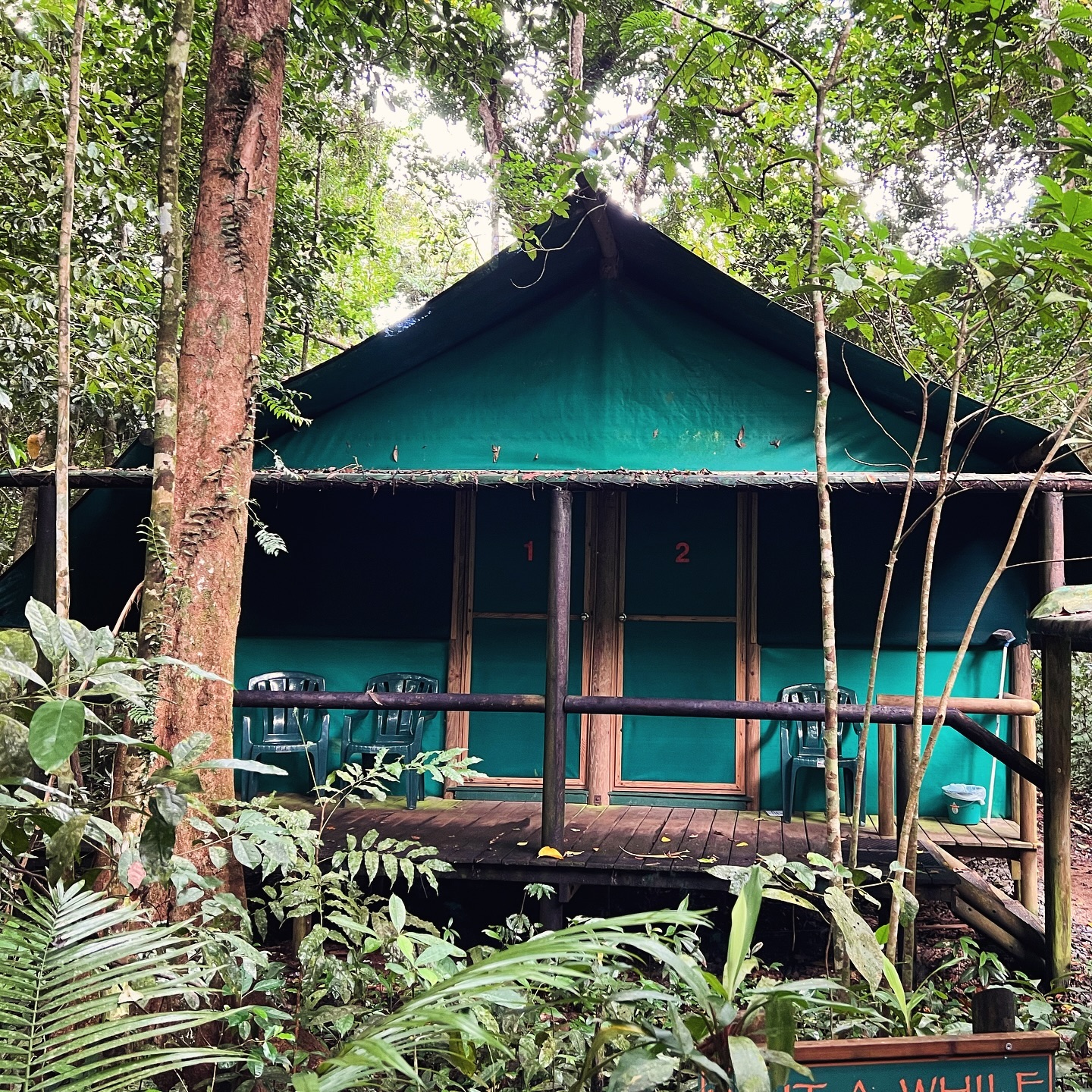 Daintree Crocodylus Village in Cow Bay, Australia
