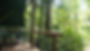 JungleDouble-View.JPG