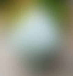 A green vase