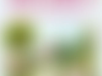 Watercolor landscape with a pink cottage, trees, and a wooden bench. Sign reads "Sweet Meadow Park." Text asks, "Real places or fictional settings?"