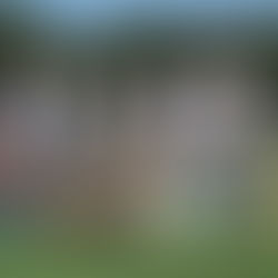 vibola今週末はちびりん