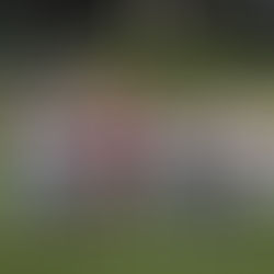 desen.リーグ最終節敗戦