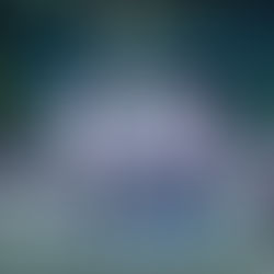 体験に来てくれた選手が...