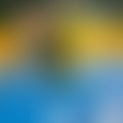 低学年教育を学んで...