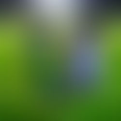 他と比べるな!!