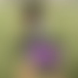 クラブの付加価値とは?