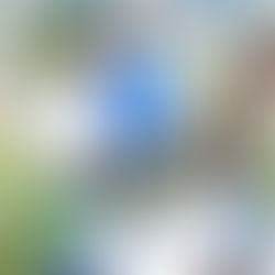 新年のトレーニングが開始