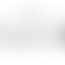 vibola 地区リーグ優勝