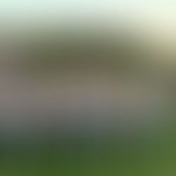 vibola U-11 ちびりん優勝