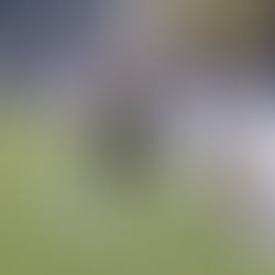 勝てば良いわけではない