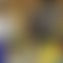 モチベーションなんてもはや...