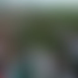 怒涛夏が始まった(desen)