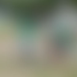 LIGA JOGA BAGUNCA第2節大盛り上がり