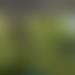 新チームが動き出した