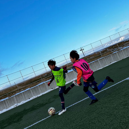 ヴァリオスゲーム