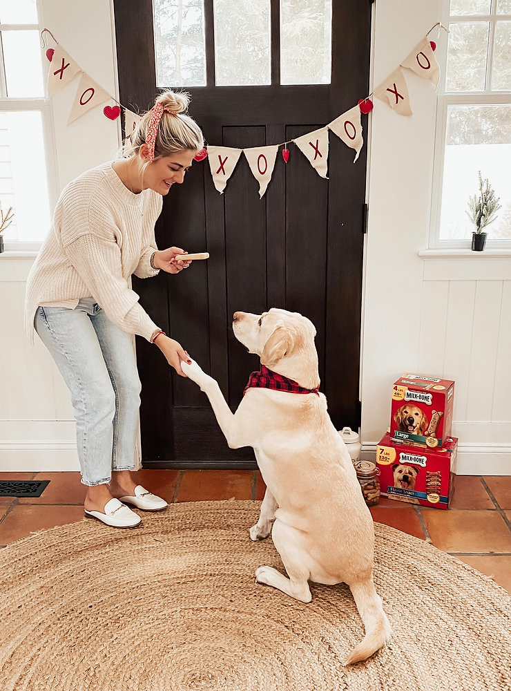 MilkBone Puppy Valentine Treats