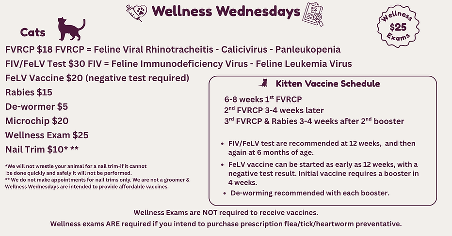 Wellness Wed Cat.png