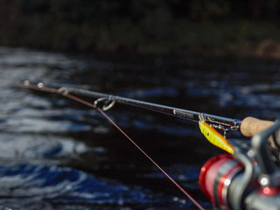 Fishpond fishing - rod for the Tay River